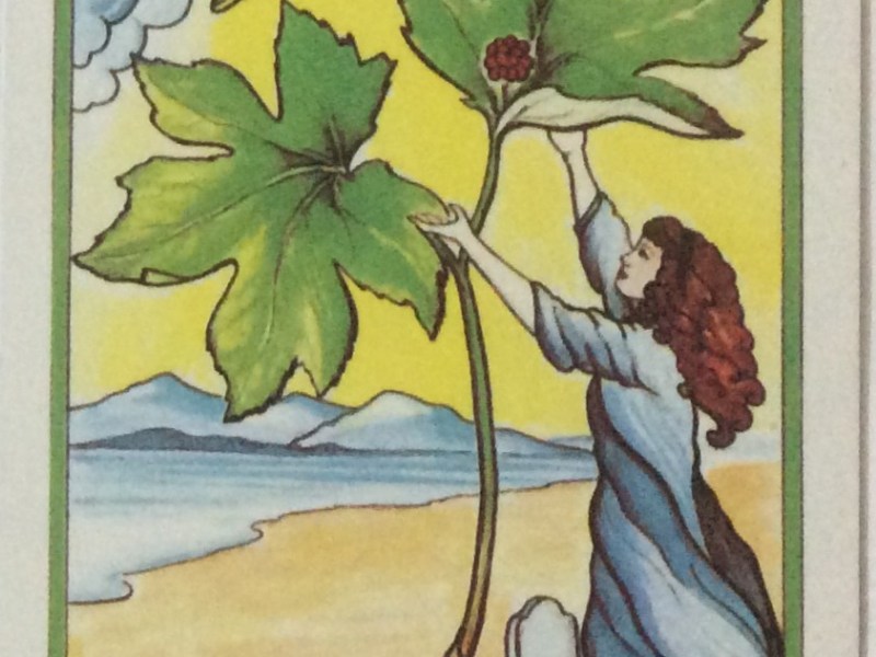 Exploring Tarot Cards:&nbsp;Judgement