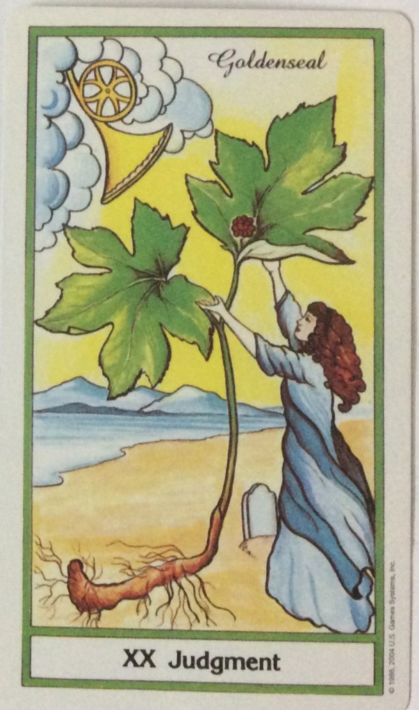 Judgement-Tarot-Card