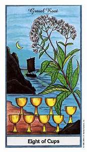 Eight of Cups